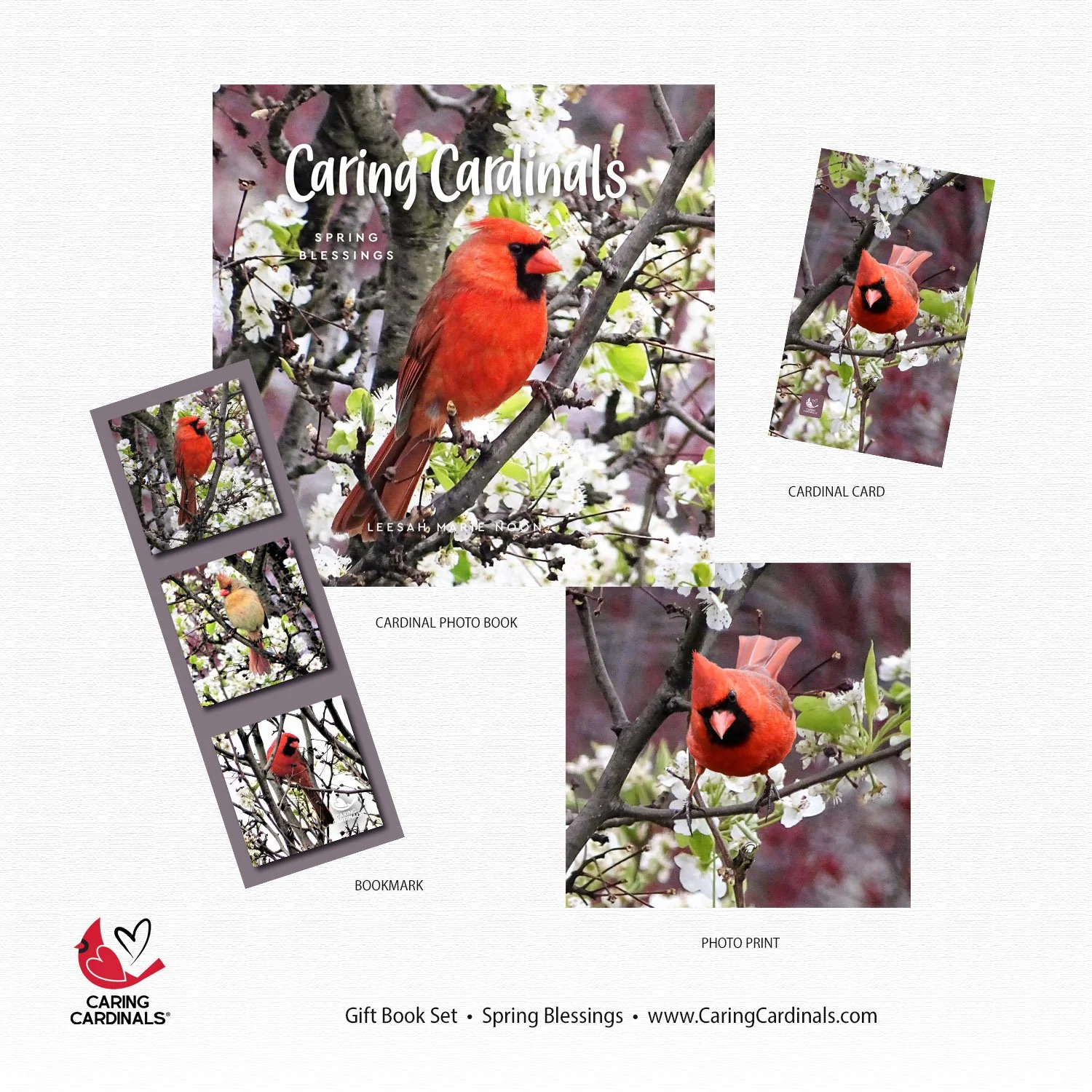 Spring Blessings Book Set.jpg