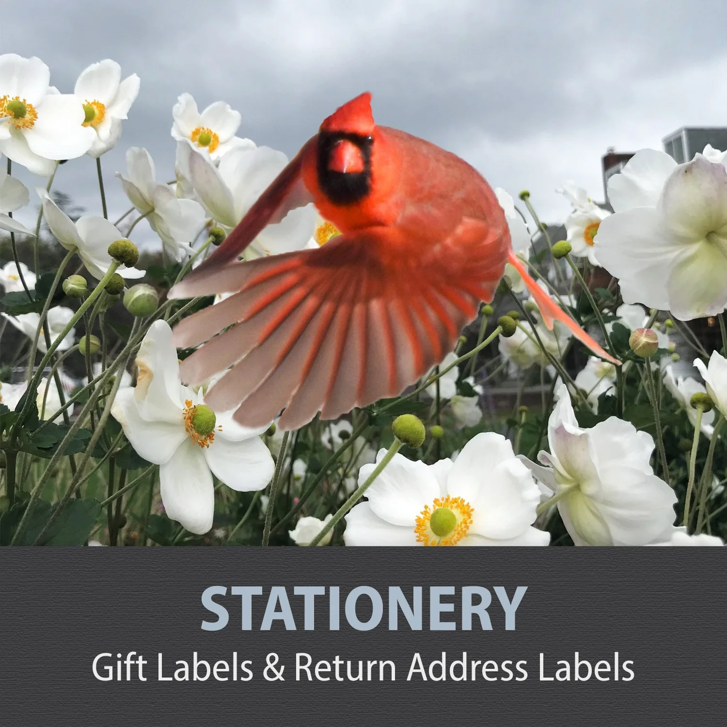 14-STATIONERY.jpg