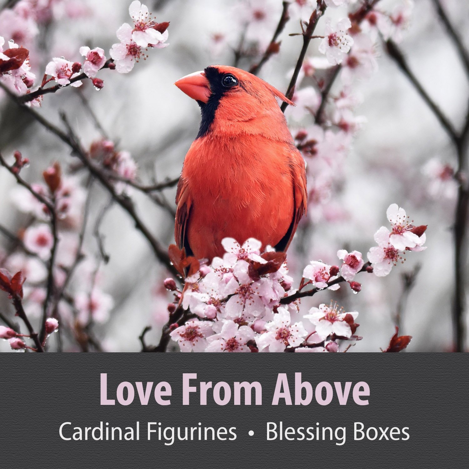 LOVE FROM ABOVE
