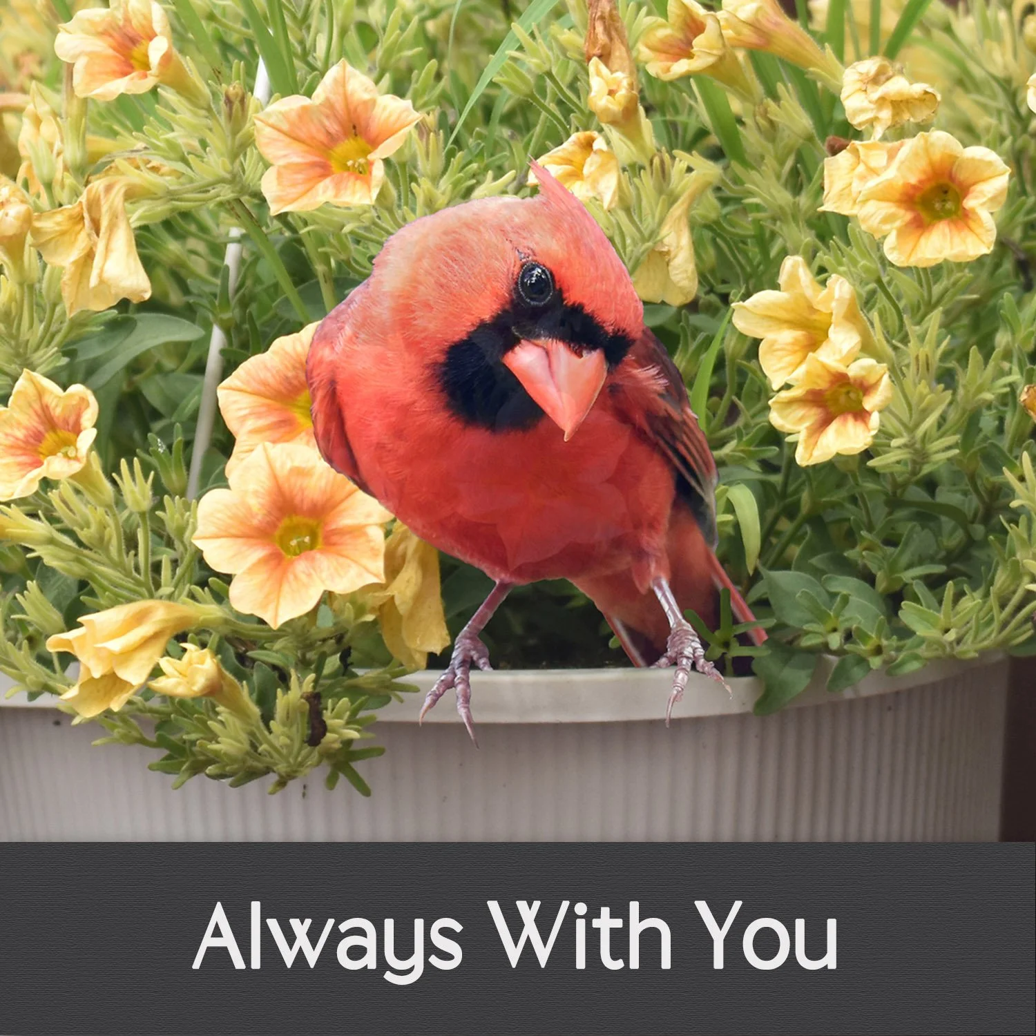 ALWAYS WITH YOU