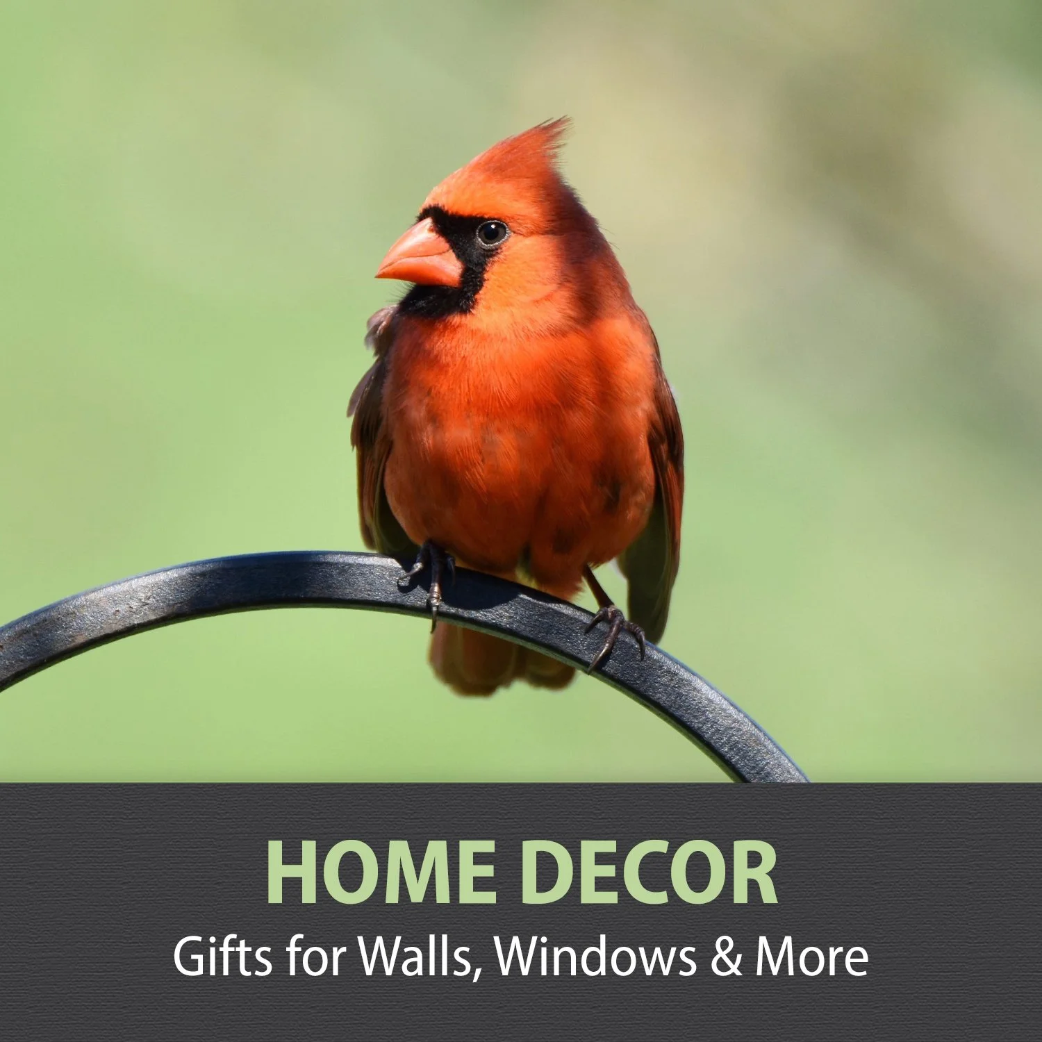 7-HOME DECOR.jpg