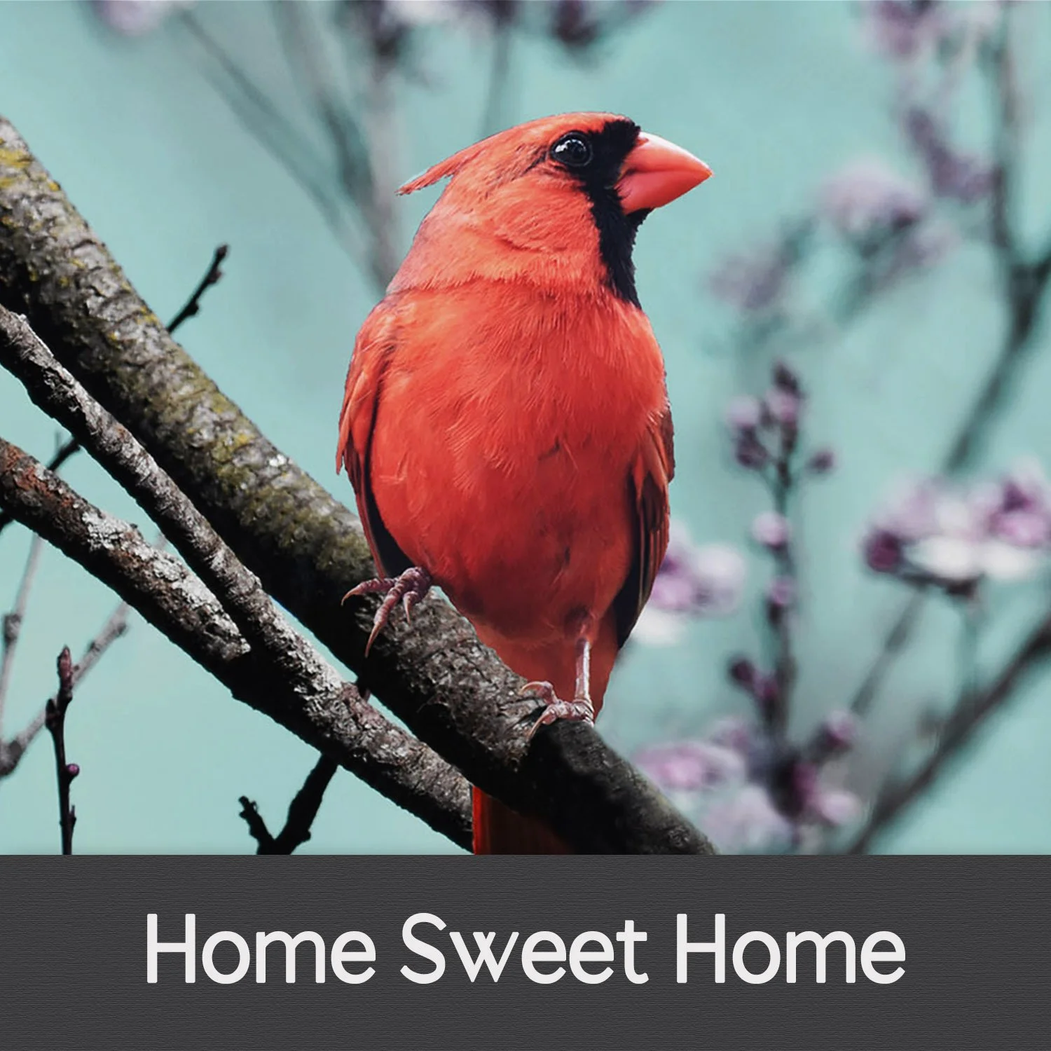 HOME SWEET HOME