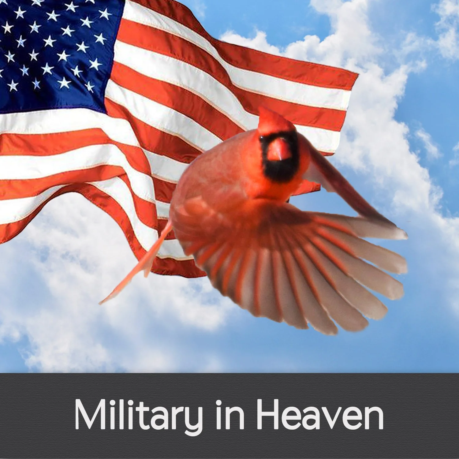 MILITARY IN HEAVEN