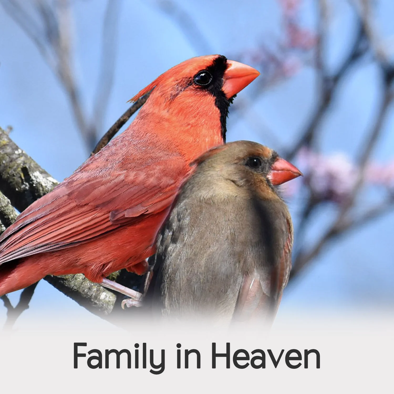 FAMILY IN HEAVEN