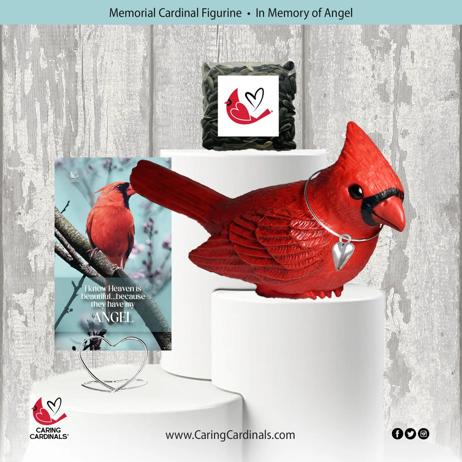 Cardinal-Fig ANGEL.jpg