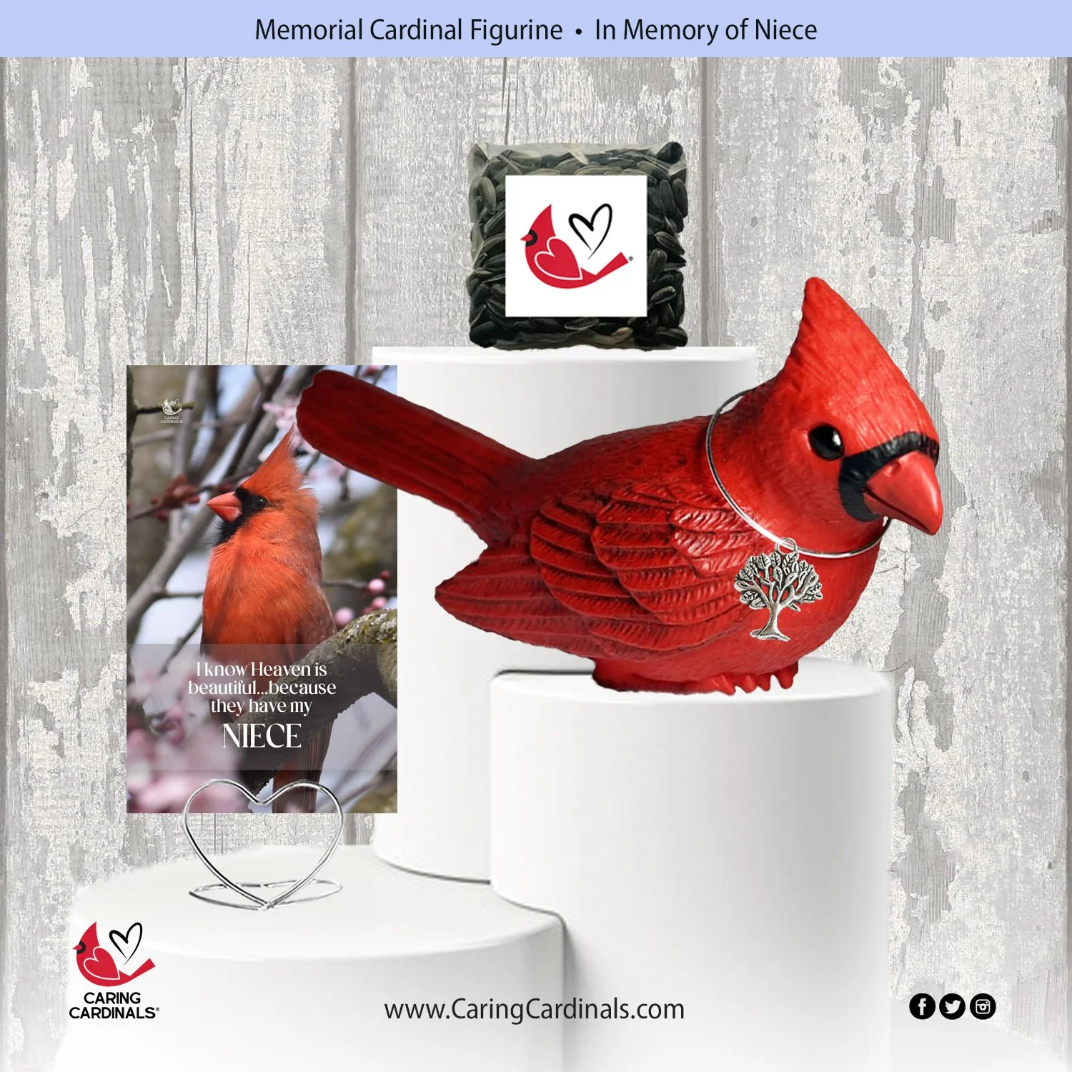 Cardinal-Fig NIECE.jpg