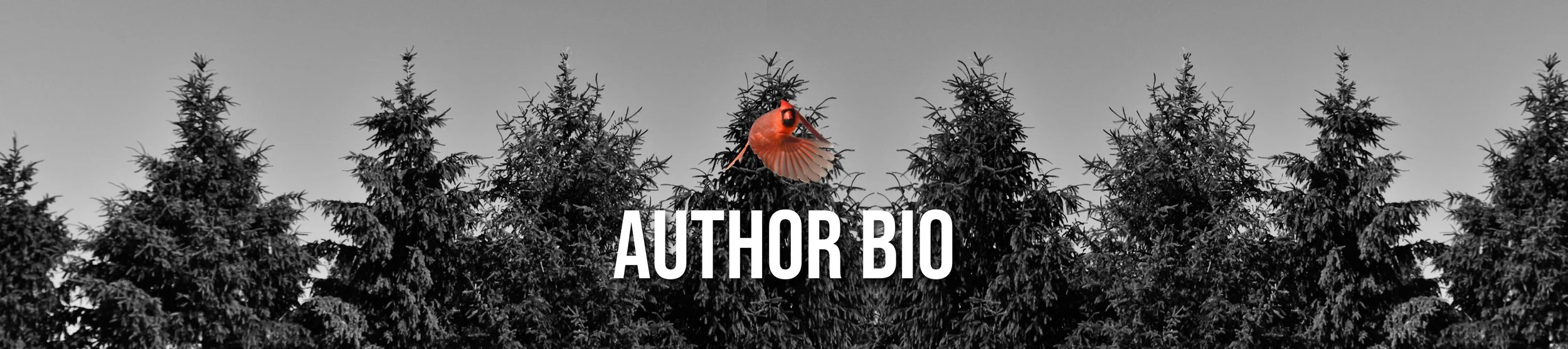 AUTHOR BIO.jpg