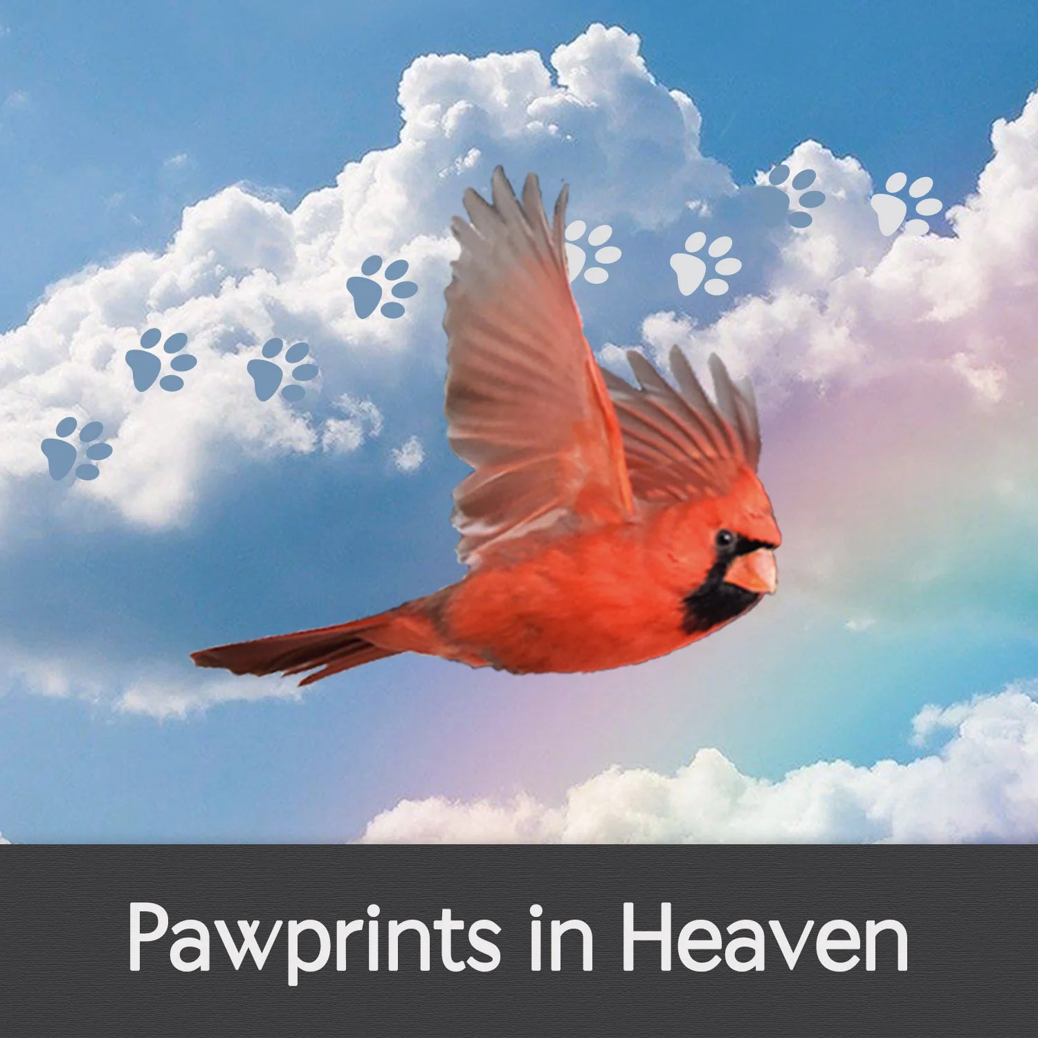 PAWPRINTS IN HEAVEN