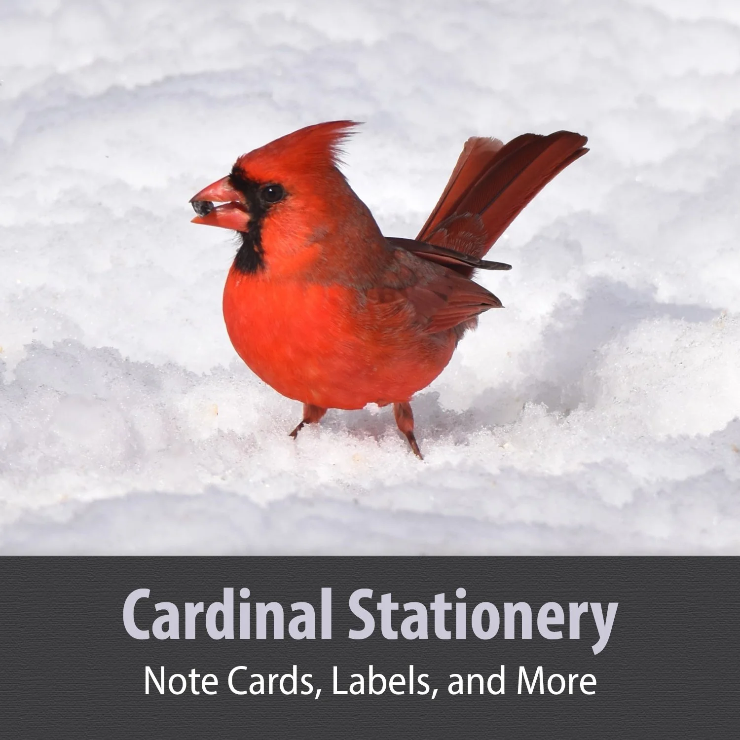 3 Cardinal Stationery 1.jpg