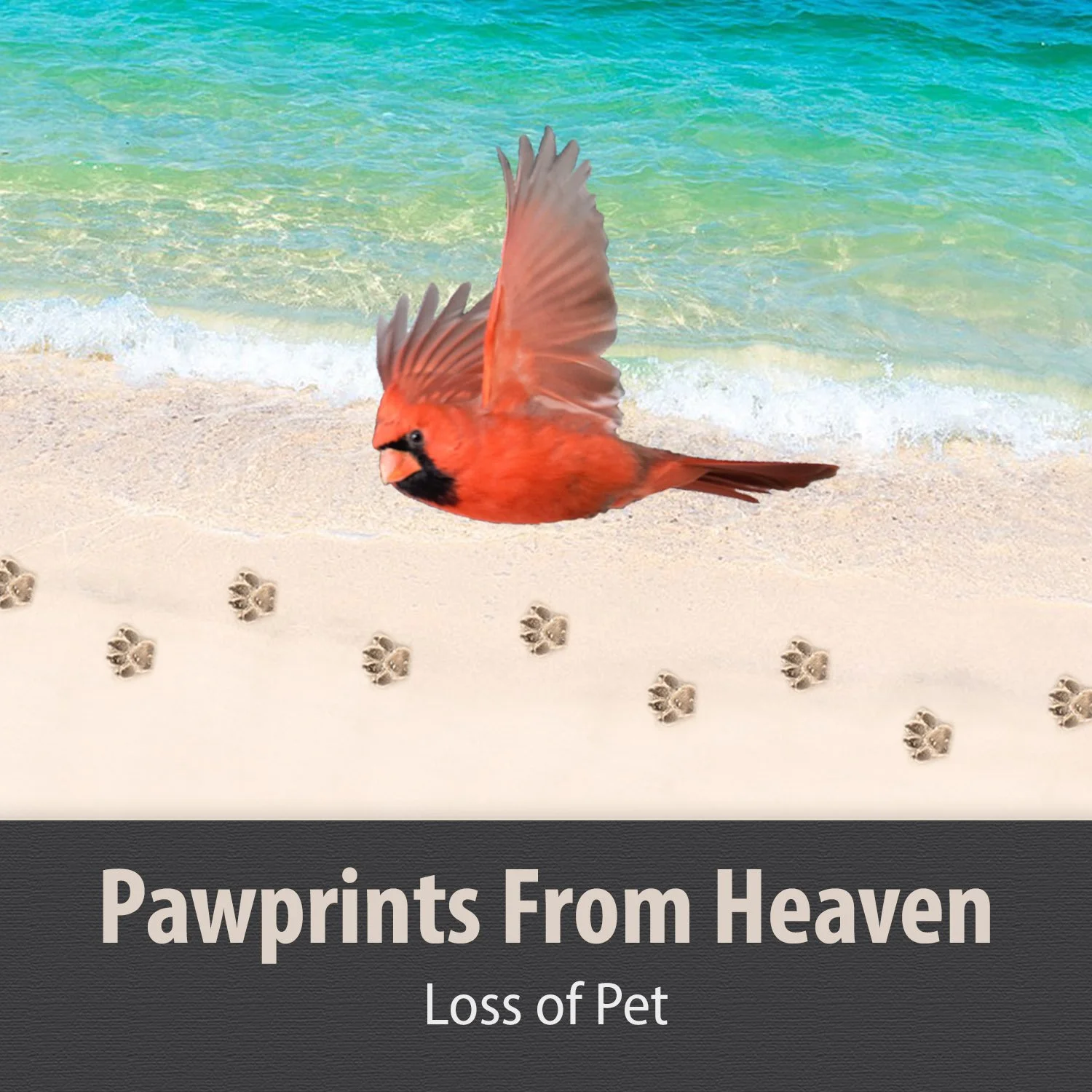 PAWPRINTS FROM HEAVEN
