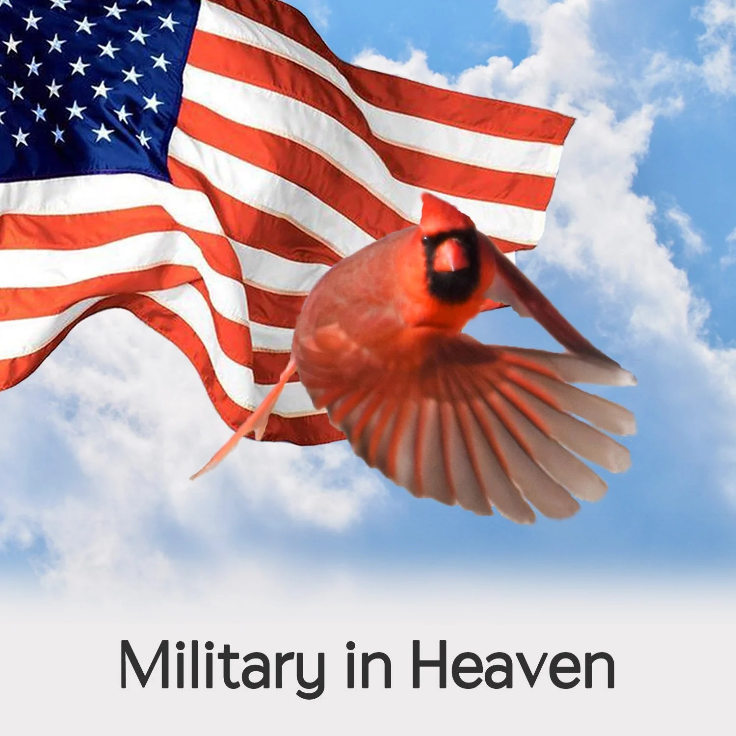MILITARY IN HEAVEN