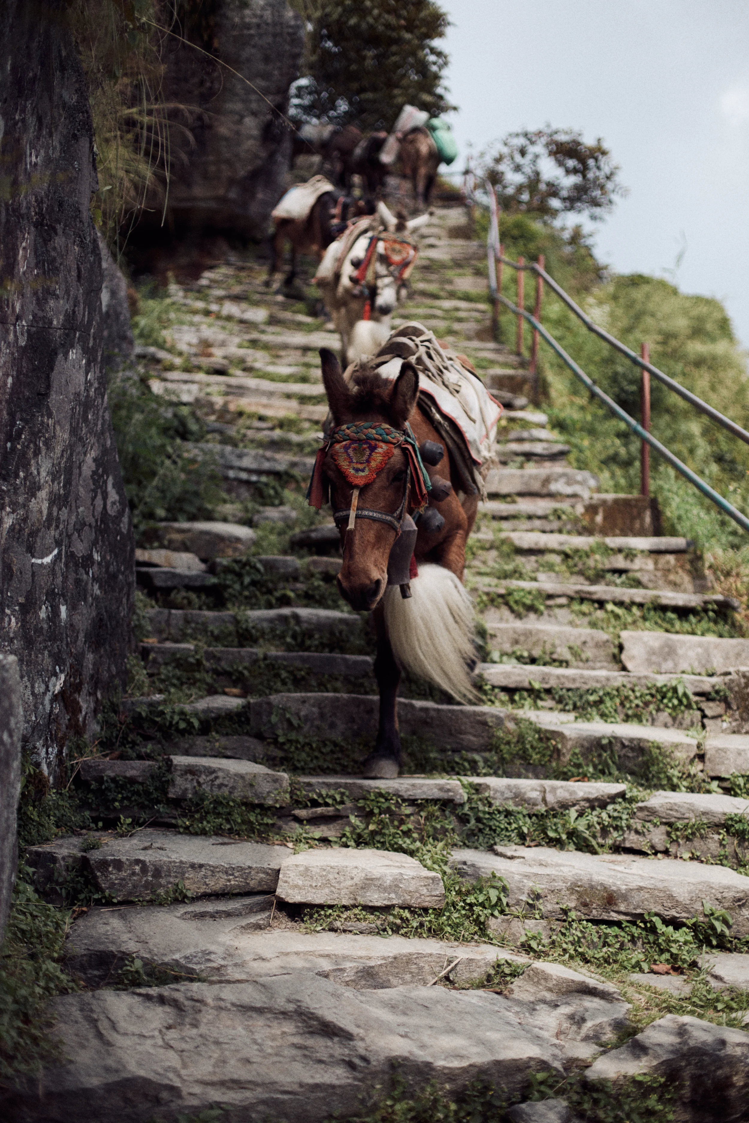 Nepal_Portfolio_0012.jpg