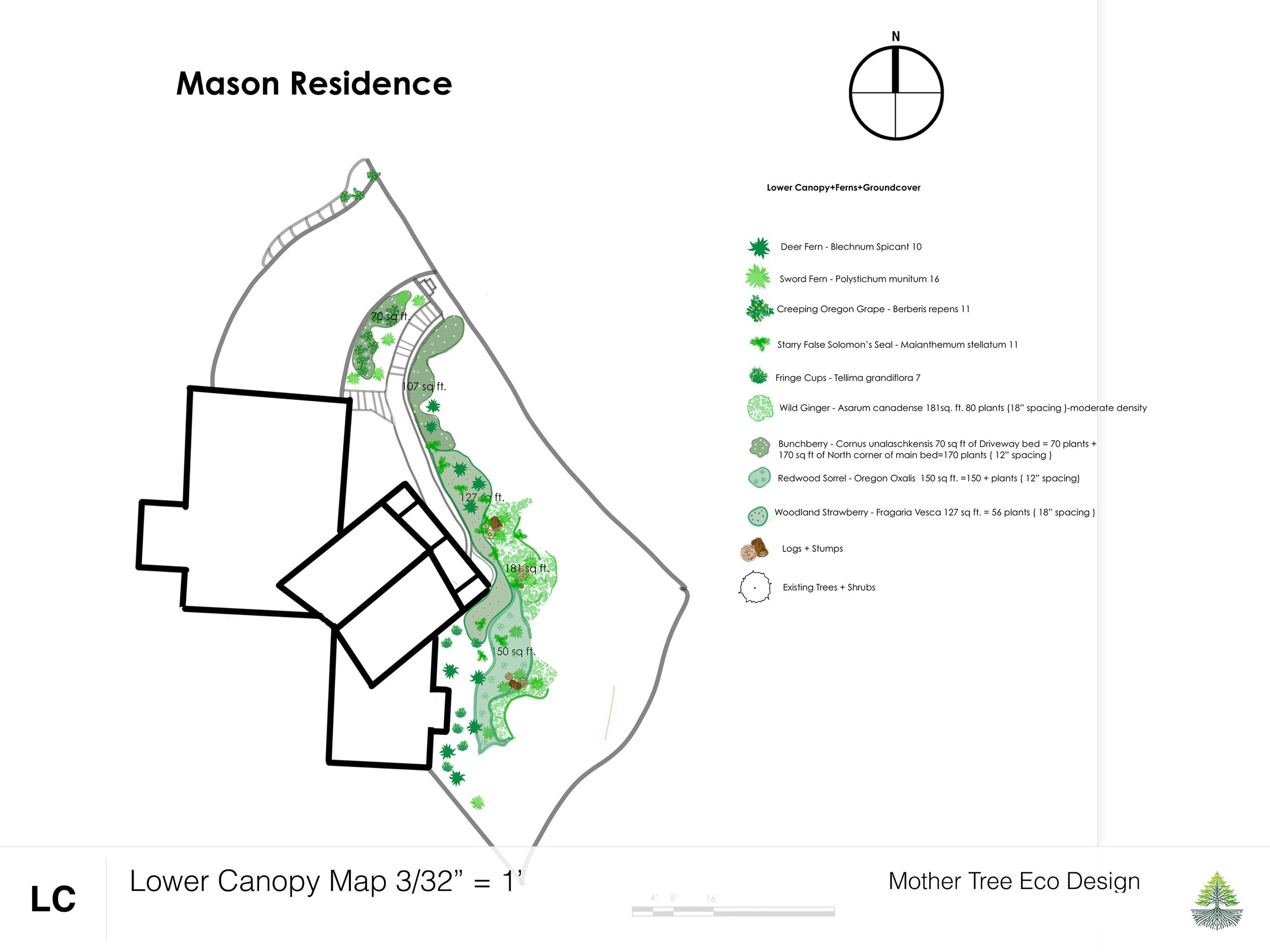 Phase Two Lower Canopy Detail