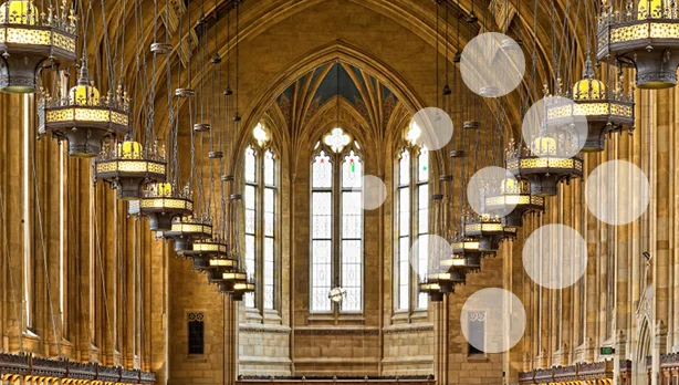 The Elite Scholar-Entrepreneur: Competitive Advantages at the Intersection of Academia and Business