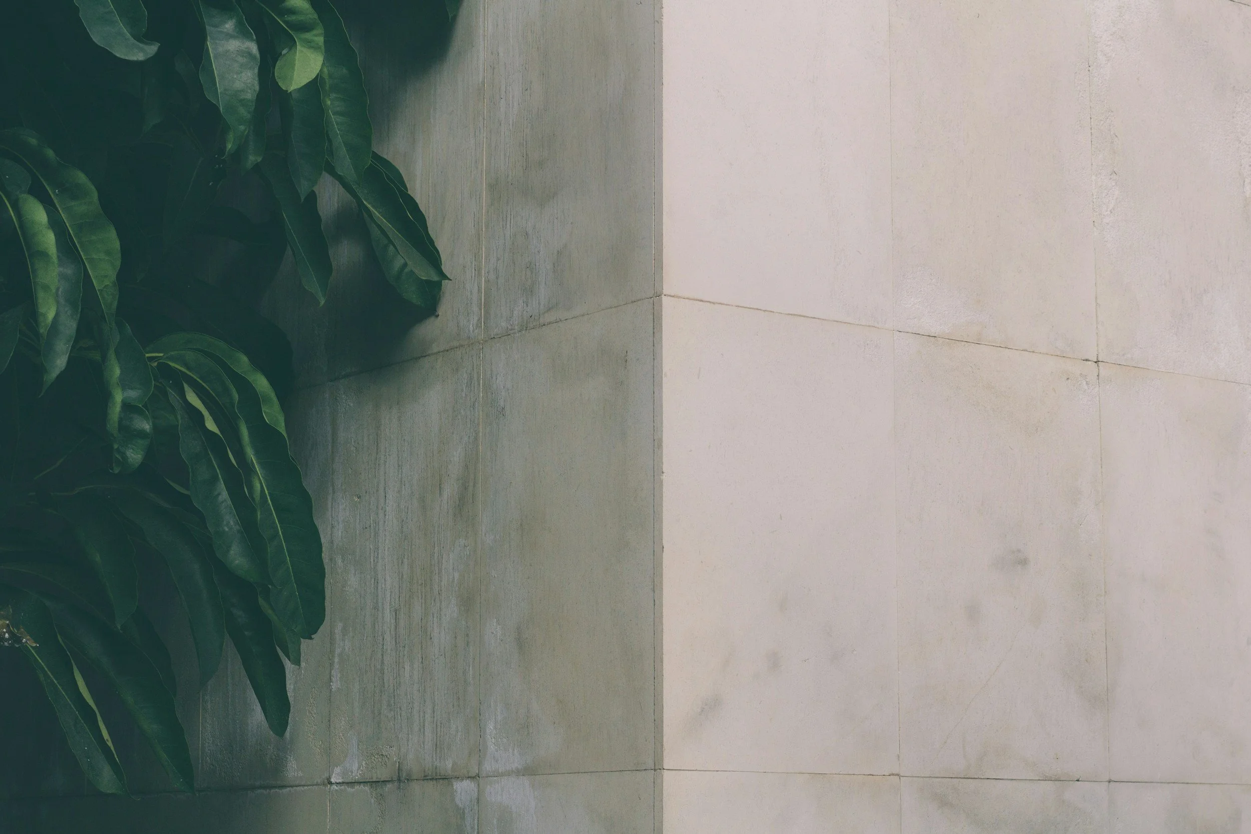 Recognizing What’s Around the Corner: Merger Control, Capabilities, and the New Nature of Potential Competition