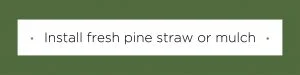 install-pine-straw-02-300x75.jpg