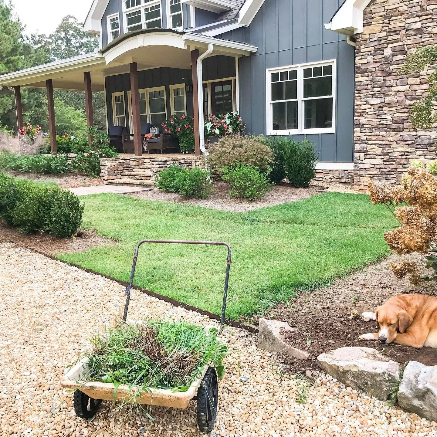 Bet ya didn&rsquo;t even know you&rsquo;ve been brainwashed...
&bull;
Yep...when most people say &ldquo;low maintenance landscape&rdquo; what they are thinking in their head is &ldquo;NO maintenance landscape.&rdquo;
&bull;
Sadly there is no.such.thi