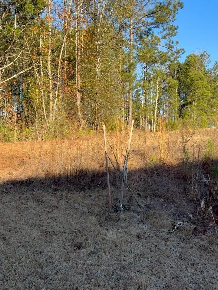 We love this hillside upgrade!
&bull;
We know you are used to seeing our hardscape projects but traditional landscaping is still at the top of the list for our services too!
&bull;
If you need a winter cleanup or a landscape facelift now is a great t