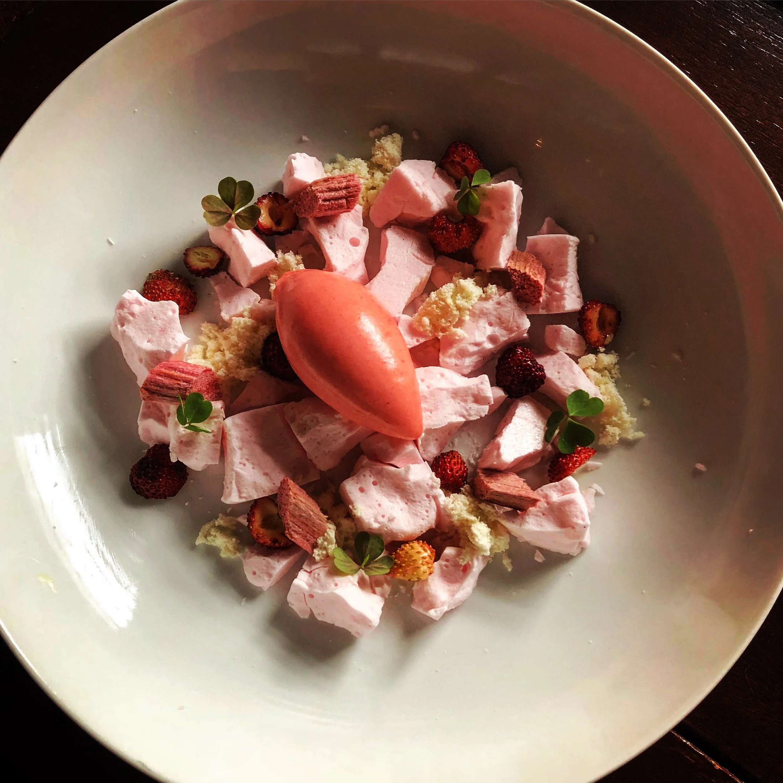 Rhubarb Marshmallow / Clocktower / April 2018