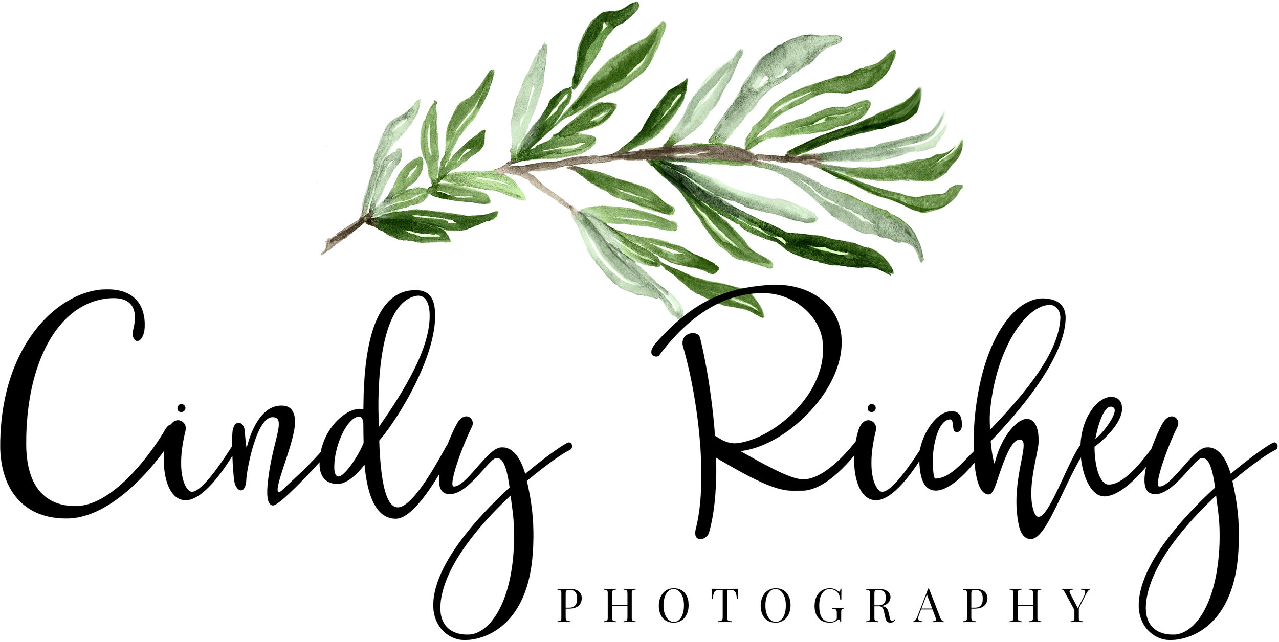 Cindy Richey Photography