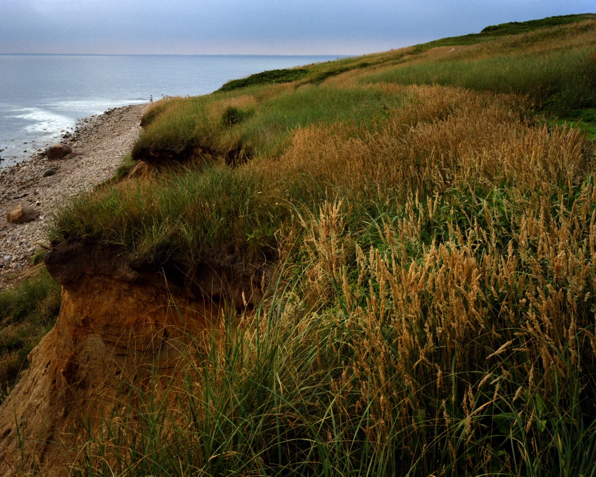 Southwest Point 4x5 1991.JPG