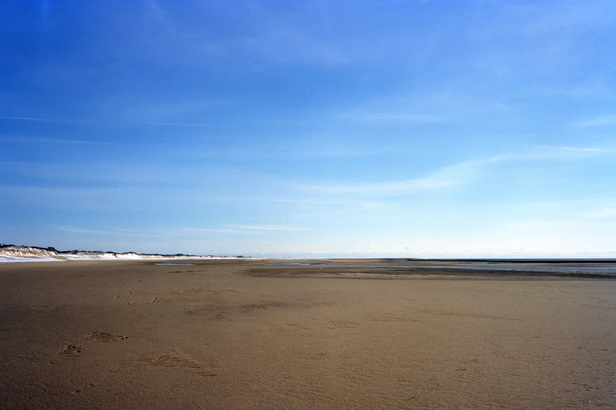 Beach Cape Cod 2011.JPG