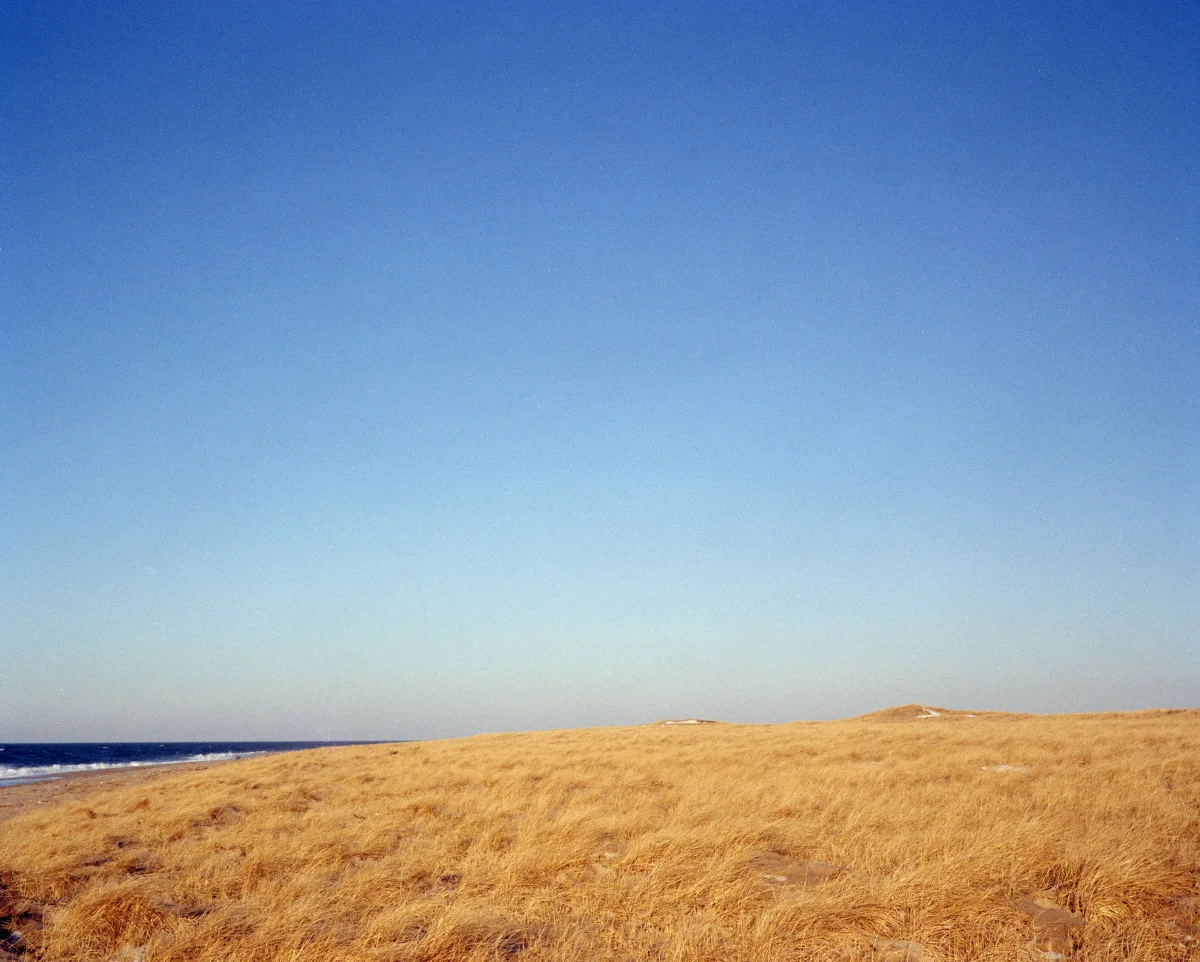 Grass ocean blue sky Cape Cod 1996.JPG