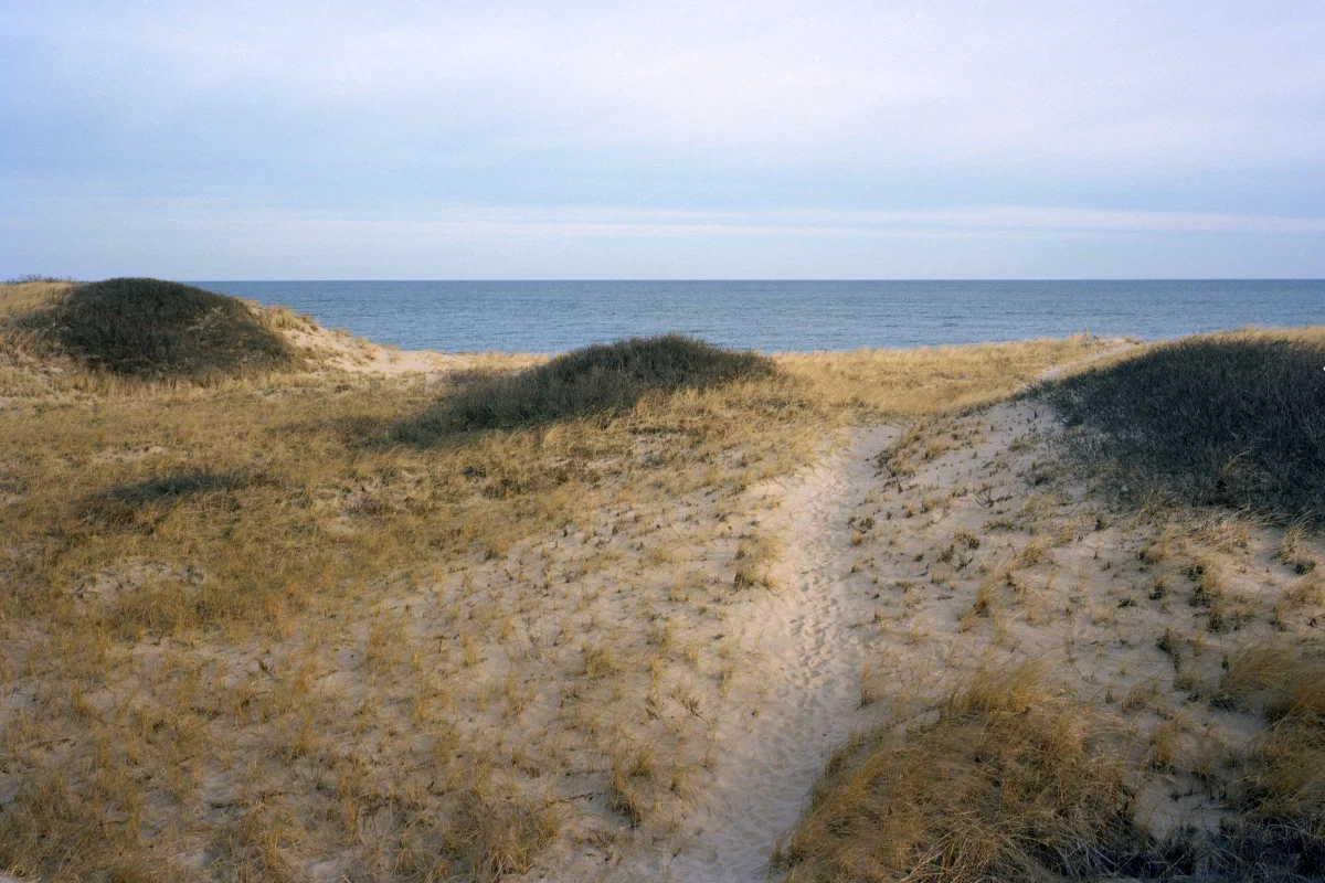 Path through dune to ocean Cape Cod 2008.JPG