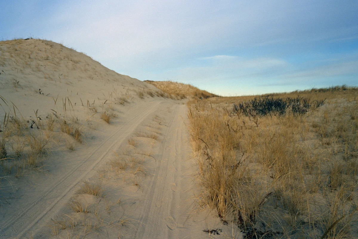 Sand Road in Dunes Cape Cod 2001.JPG