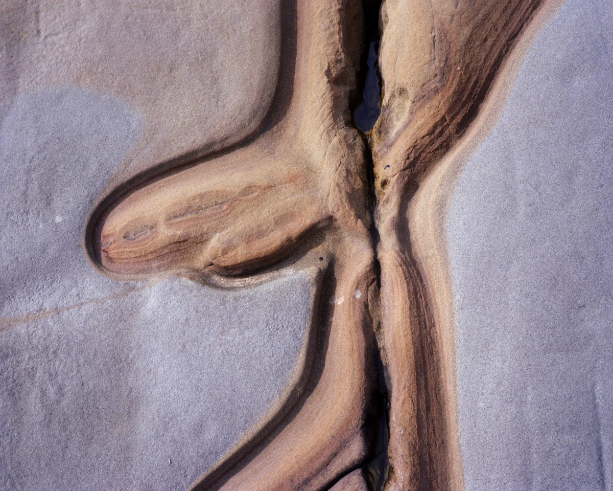 Point Lobos 49-8-9.JPG