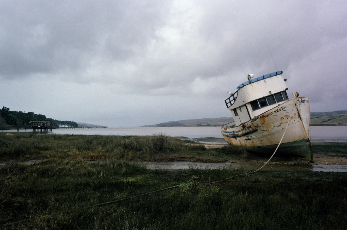 Point Reyes California 1999.JPG