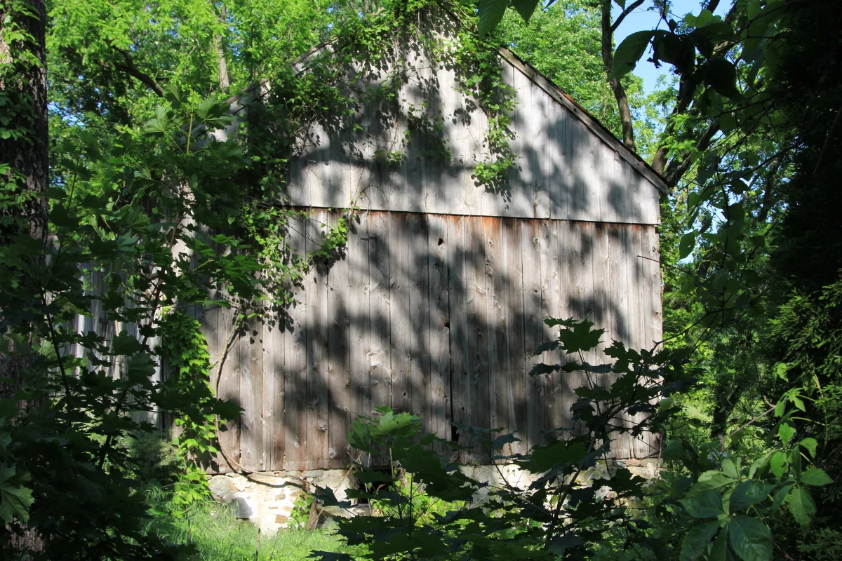 IMG_3464.JPG