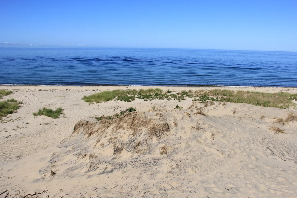Narragansett; Block Island, coon Northend 254.JPG