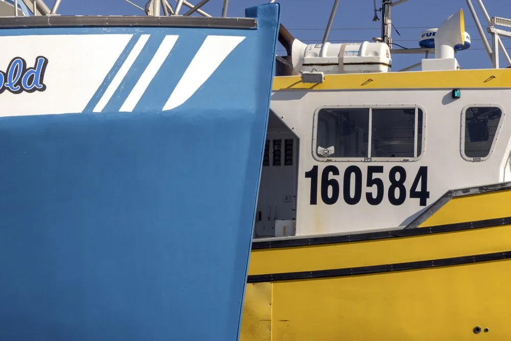 5T0A6927.jpg