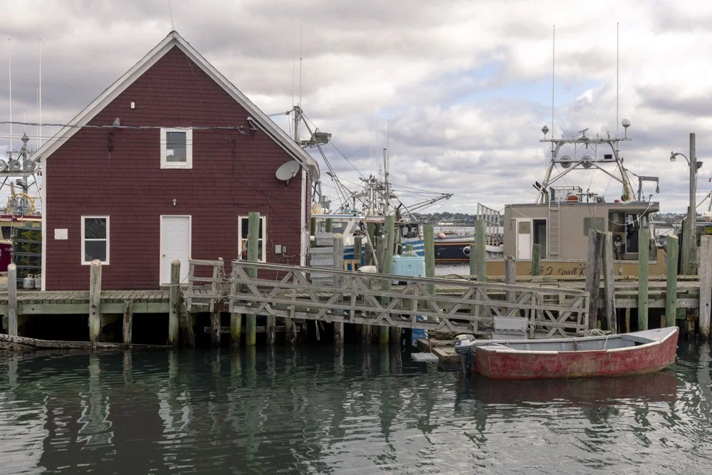 5T0A8097.jpg
