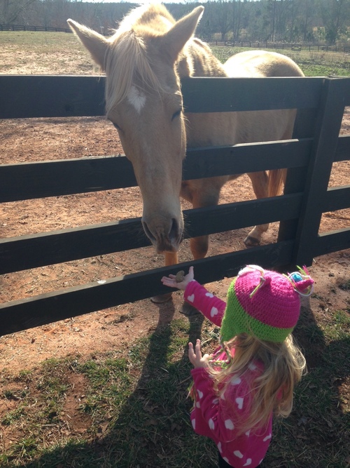 horse with kid.jpeg