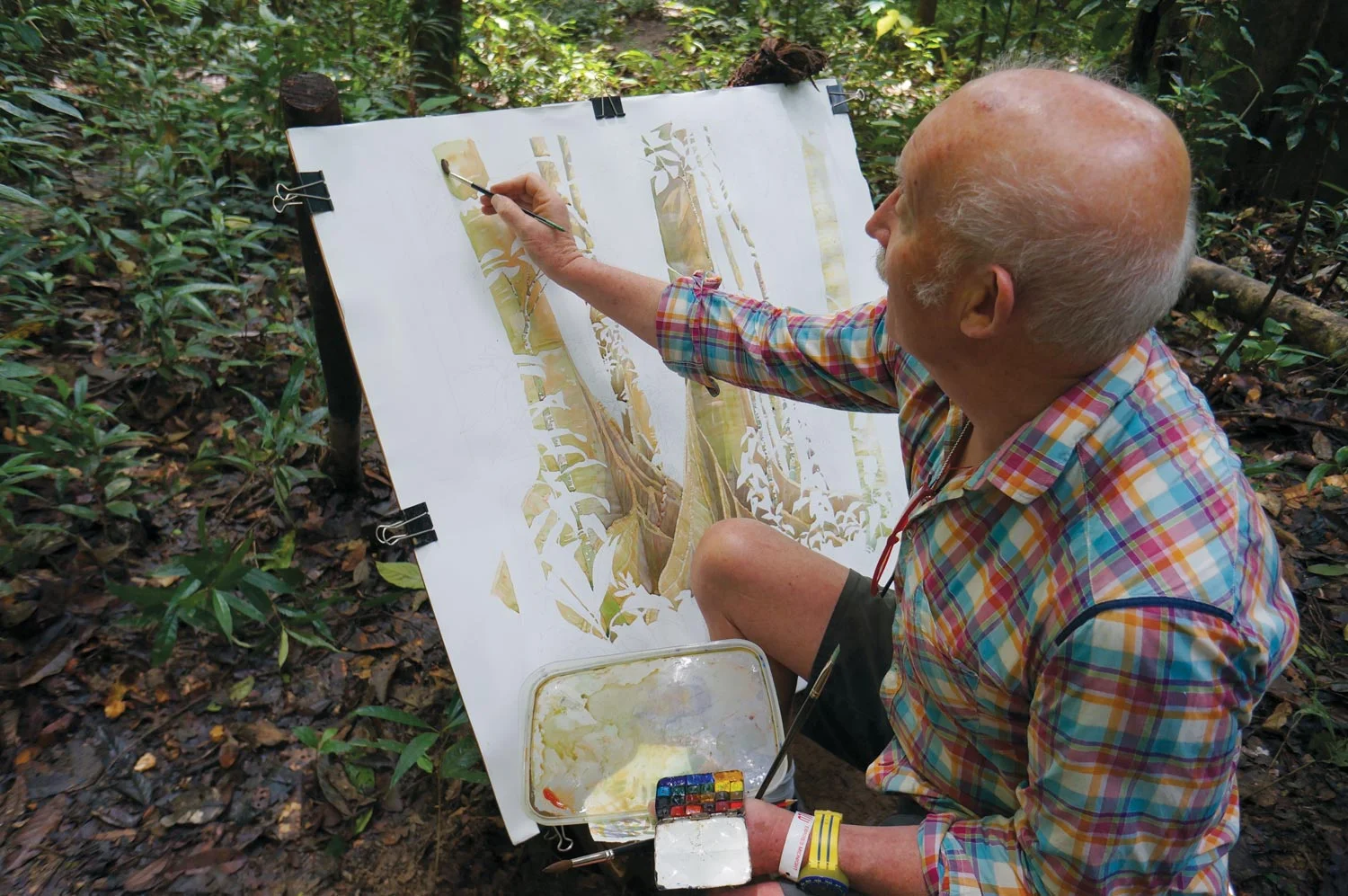 Tony Foster painting in the rainforest near Paku Falls, Mulu, Borneo, February 2015. Photo by Alison Pritchard