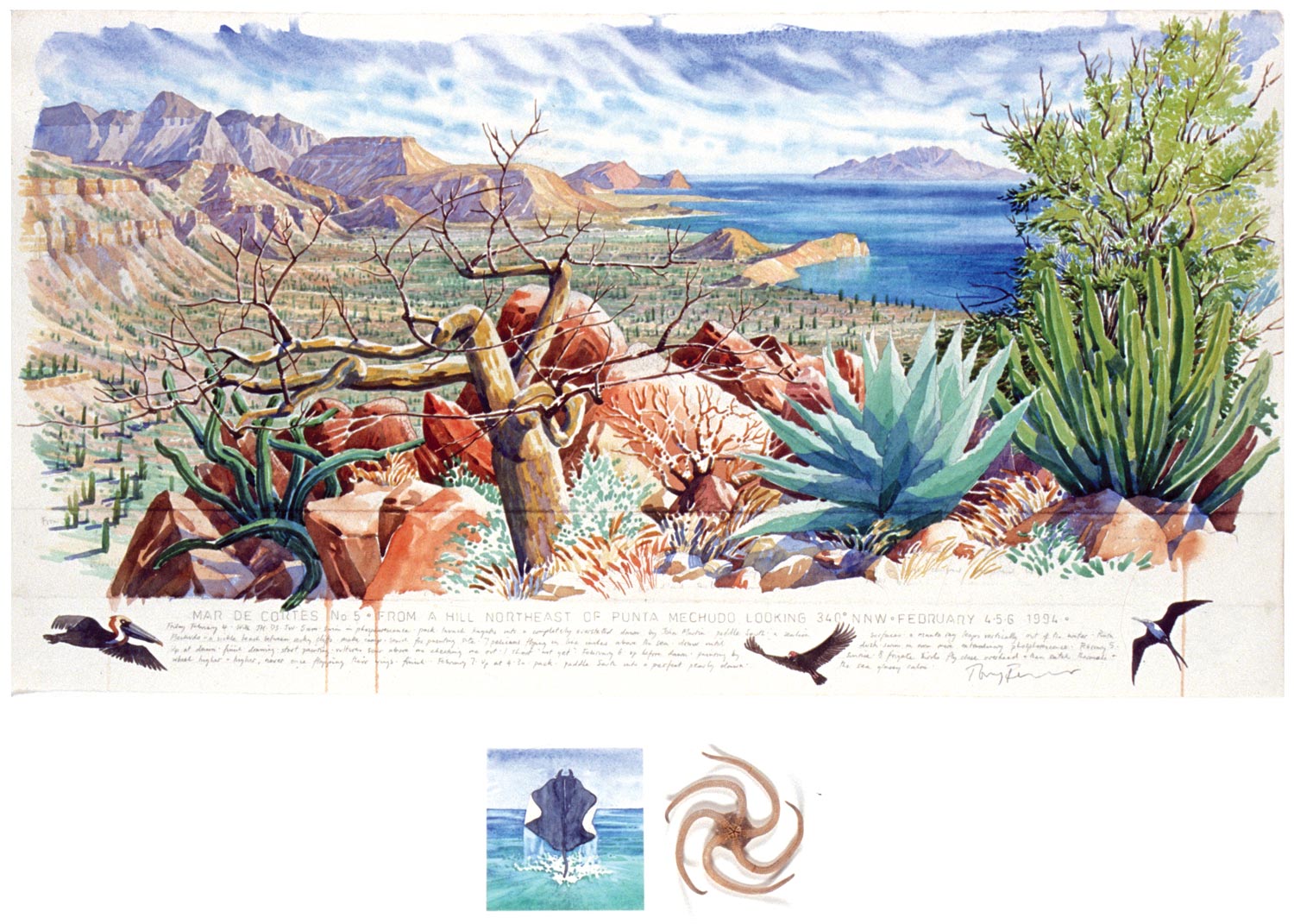 arid-lands_1990.1.27.jpg