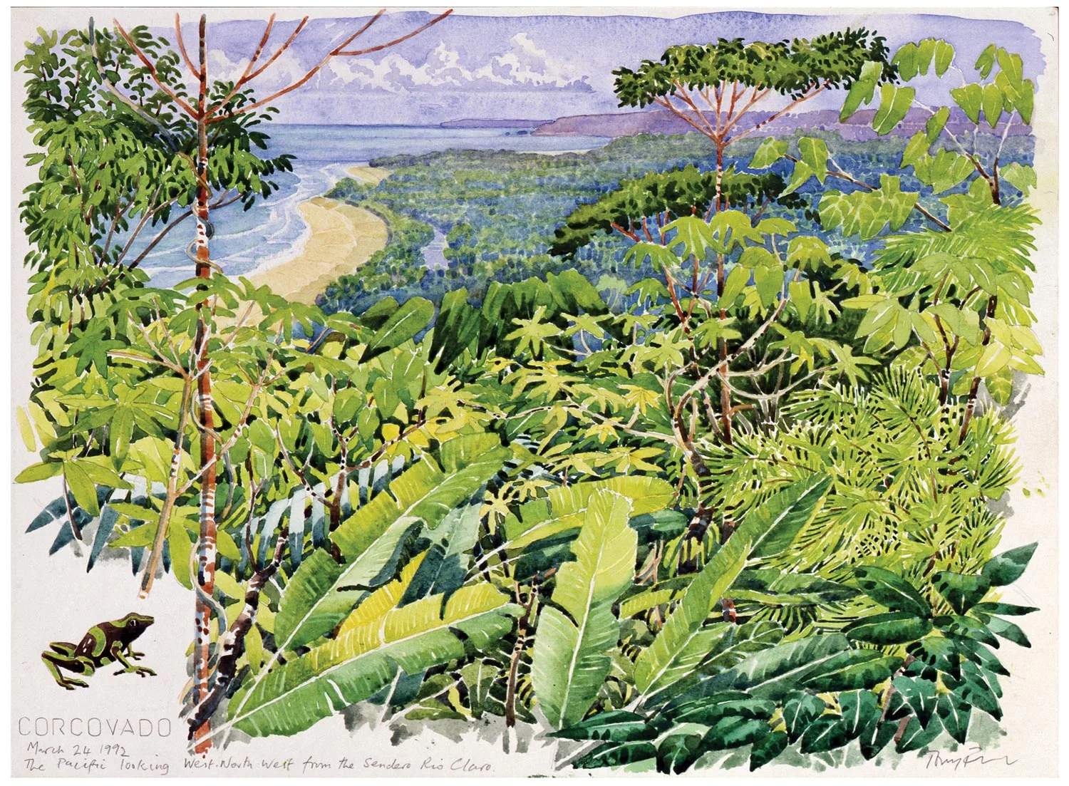 Tony Foster, Corcovado: March 24, 1992: The Pacific Looking West North West from the Sendero Rio Claro , 1992 | Watercolor and graphite on paper | 10 x 13 5/8 in. | 1991.1.17