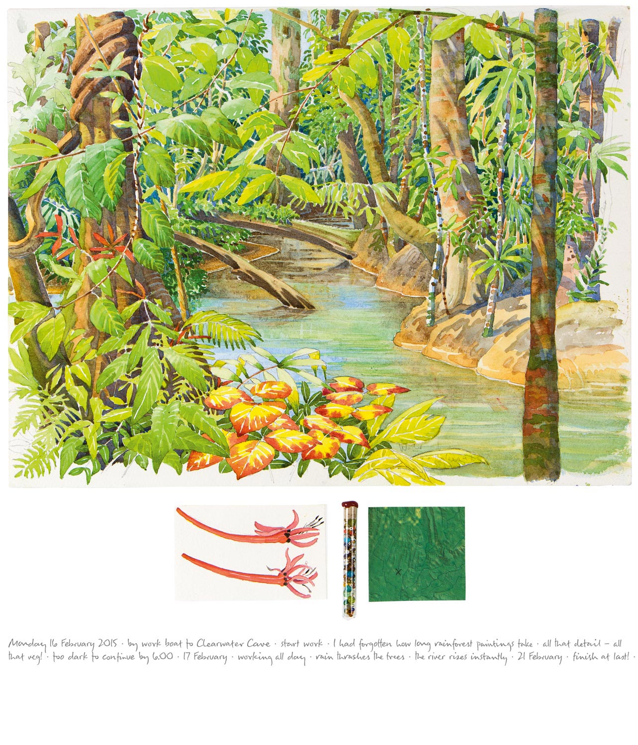 Tony Foster , The Stream from Clearwater Cave, Mulu , 2015