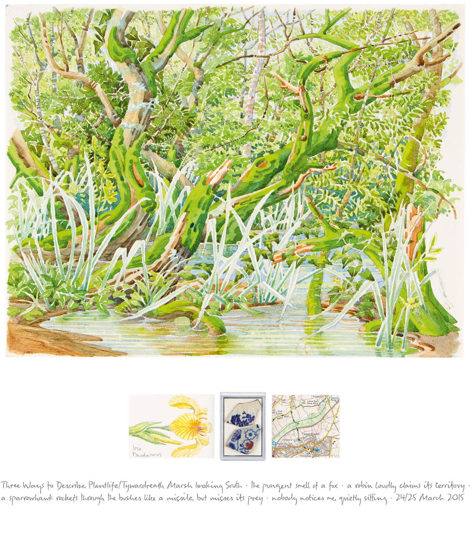   Tony Foster ,  Three Ways to Describe Plantlife / Three Wildlife Observations—Tywardreath Marsh Looking South , 2015 
