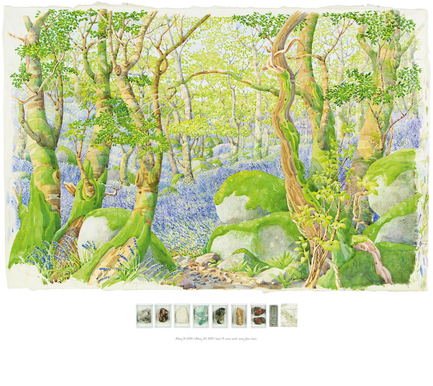 Tony Foster , Bluebells—Looking WNW near the Top of Luxulyan Valley , 2015