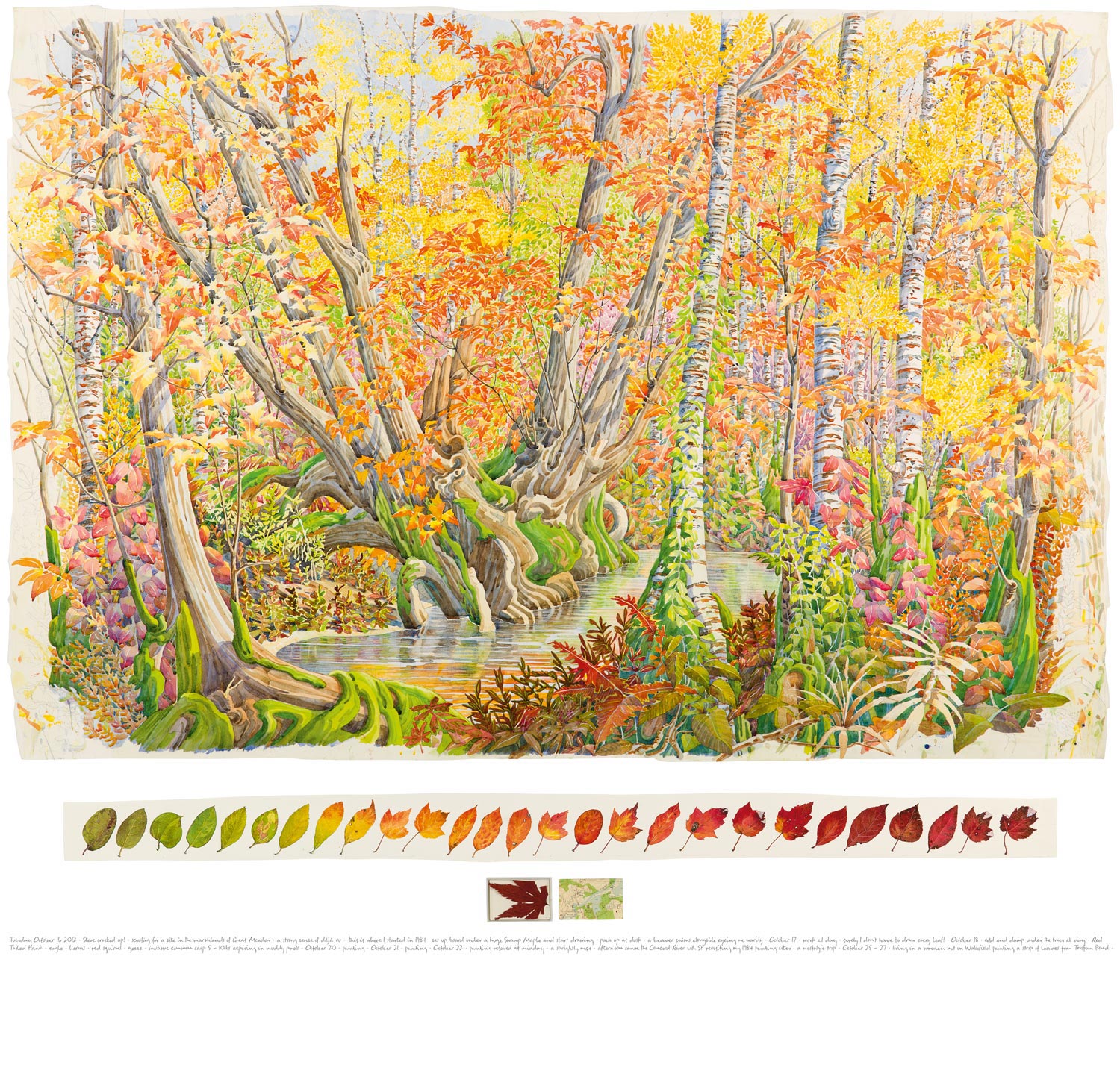 Tony Foster, Fall Colour in Great Meadow, Concord , 2012 | Watercolor and graphite on paper, maple leaf, acrylic box, map | 36 x 52 3/4 in. / 3 3/8 x 47 5/8 in. / 2 1/8 x 6 1/2 in. 