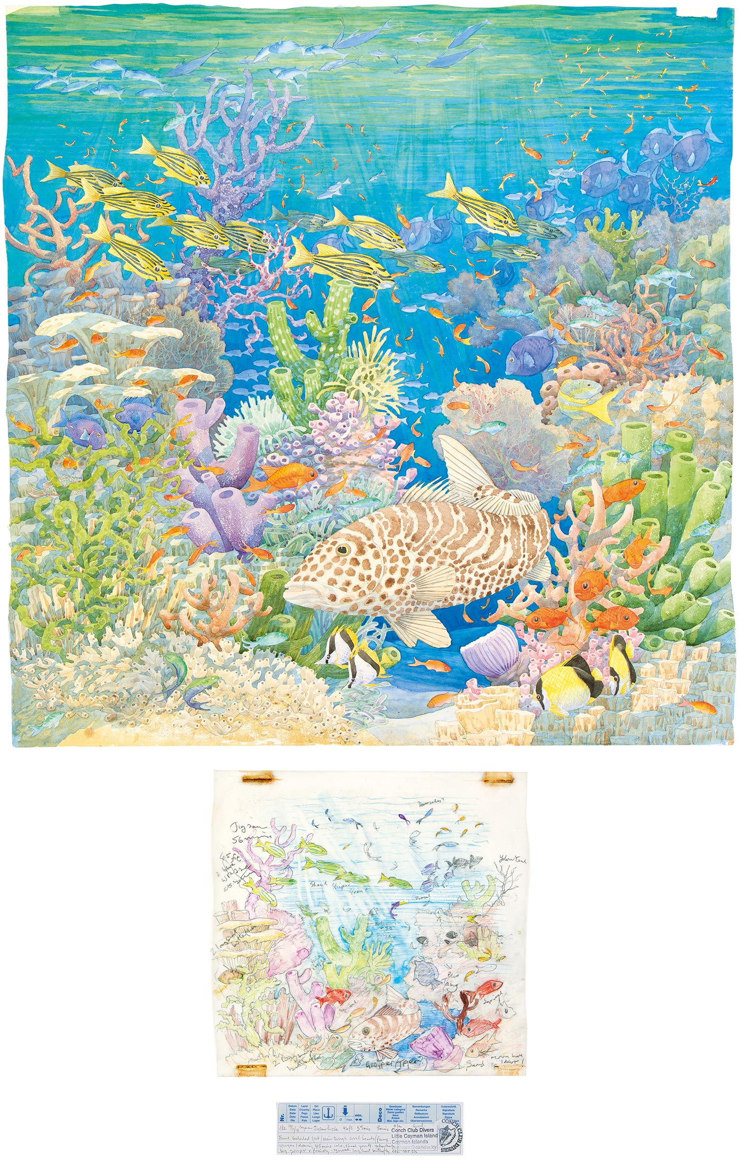 Tony Foster, Dive 106—Vilamendhoo , 2007. Watercolor and graphite on paper, crayon-pencil on plastic film. 10 x 10 in. Photo by Trevor Burrows Photography. Courtesy of Foster Art & Wilderness Foundation.