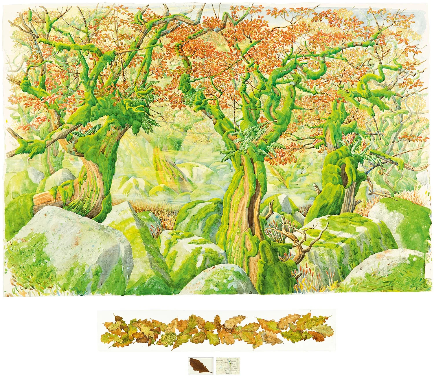 Tony Foster, Wistman’s Wood Looking SSW , 2013. Watercolor and graphite on paper, map, oak leaf, acrylic box. 36 x 52 7/8 in. | 5 1/4 x 29 1/2 in. | 2 1/4 x 6 1/4 in. Photo by Trevor Burrows Photography. Courtesy of Foster Art & Wilderness Foundation.
