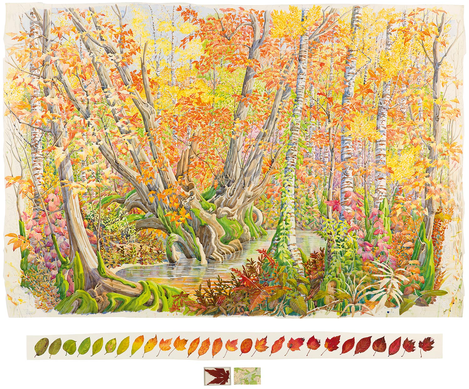  Tony Foster,  Fall Colour in Great Meadow, Concord , 2012. Watercolor and graphite on paper, maple leaf, acrylic box, map. 36 x 52 3/4 in. | 3 3/8 x 47 5/8 in. Photo by Trevor Burrows Photography. Courtesy of Foster Art &amp; Wilderness Foundation. 