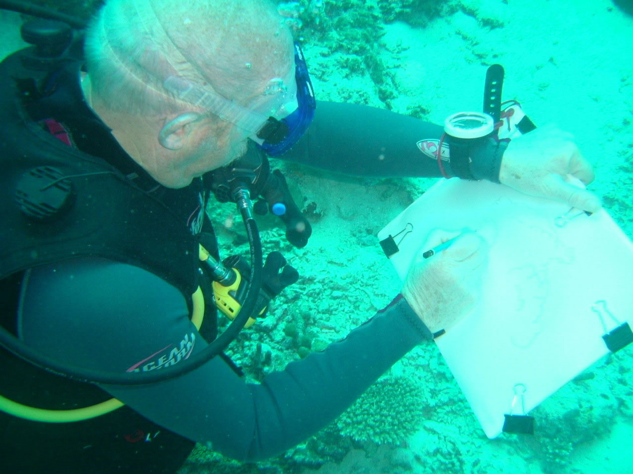 Tony Foster drawing underwater in the Maldives, 2007. Photo by Glenn Parrot. Courtesy of Foster Art & Wilderness Foundation.