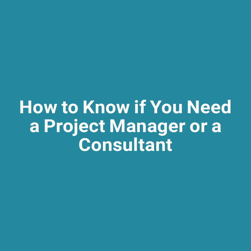 How to Know if You Need a Project Manager or a Consultant