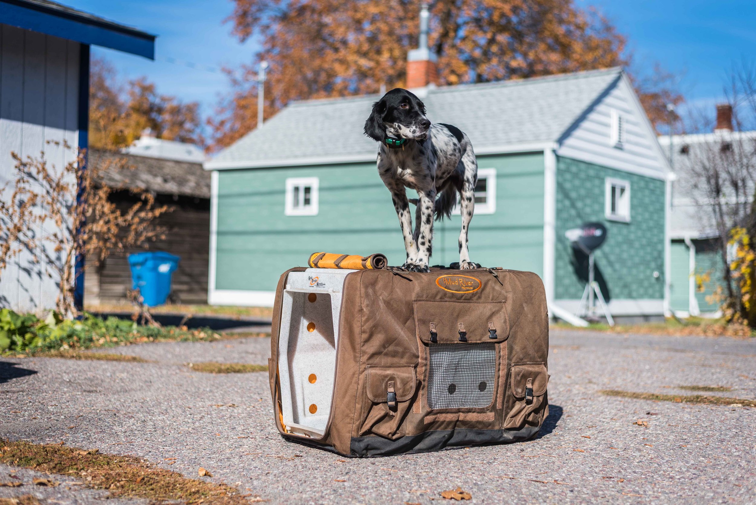 mud river kennel covers
