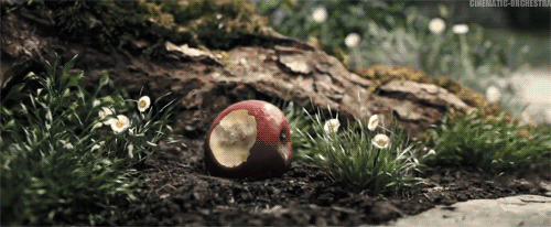 tumblr_ojhdq7frvc1w0ergko1_500.gif